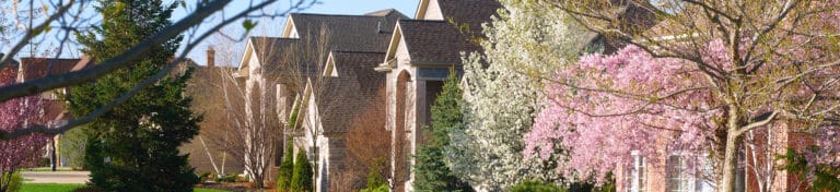 A row of houses with vibrant pink trees blooming in front, creating a picturesque neighborhood scene.