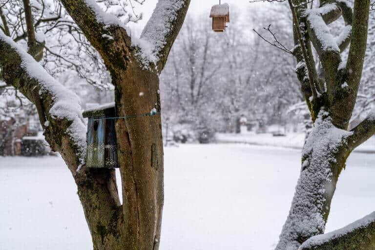 A view of a snow covered birdhouse after snow storm.