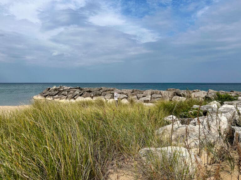 Beach grass and rocks on shore of Lake Michigan’s Rosewood Beach